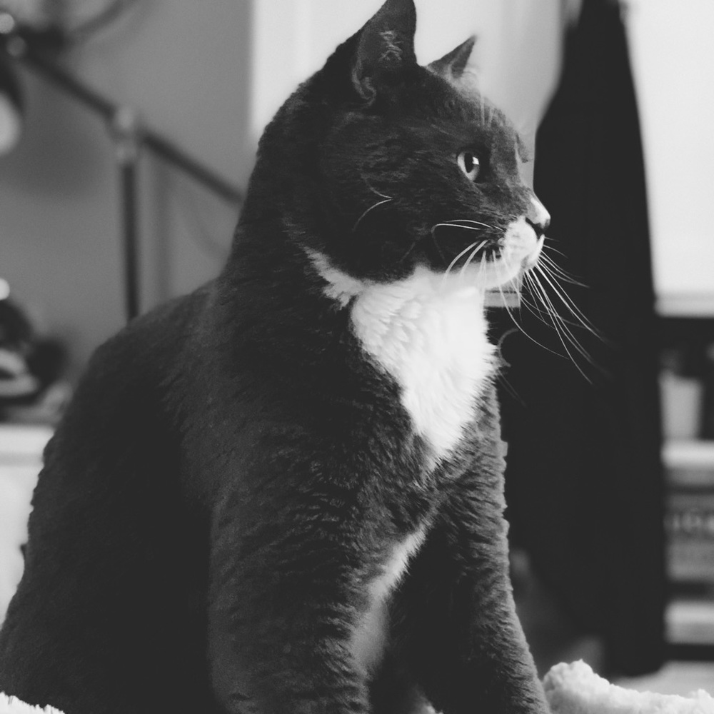 Meet your Posher, Alia